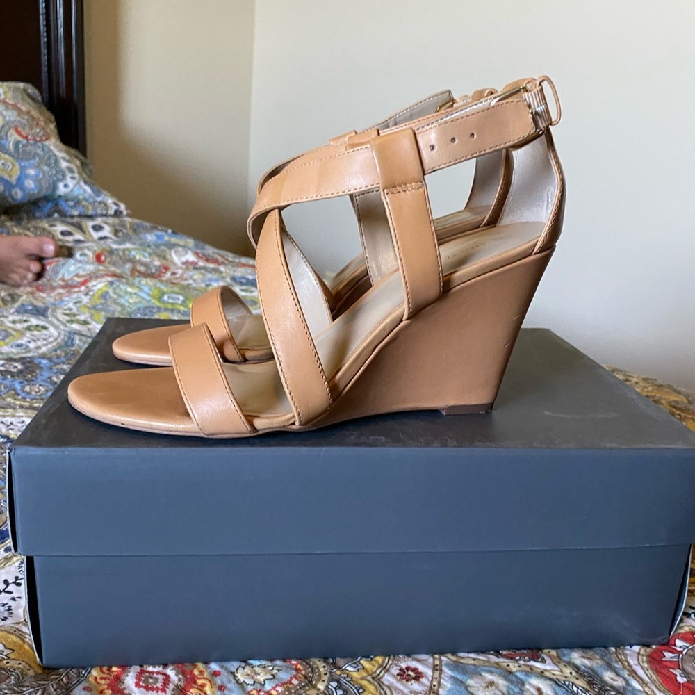 Ann Taylor Strappy Wedge Sandals